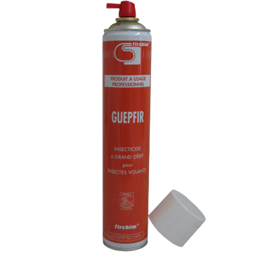 GUEPFIR GUEPFIR