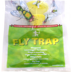 FLY TRAP