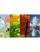 Firchim PRO : Produits de Saison (Insecticides, Dégivrants)