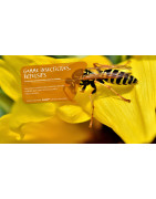 Insecticides, Rodonticides, Dissuasifs Pro - Lutte Nuisibles Firchim Pro