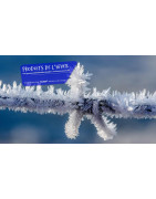 Firchim PRO : Dégivrant, Antigel, Déneigeant professionnel