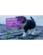 Firchim Pro : Hygiène, Désinfection et Entretien Animaux et Locaux