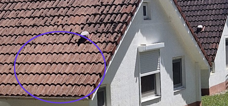 exemple toiture traitée avec Fongifir 4S | Firchim